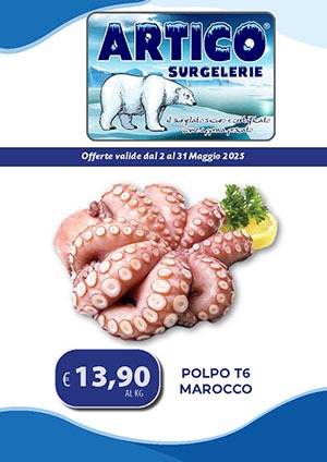 ARTICO SURGELERIE